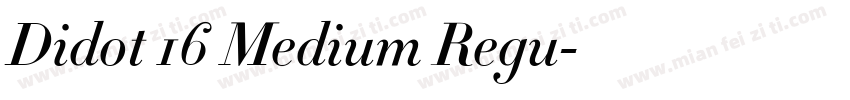Didot 16 Medium Regu字体转换